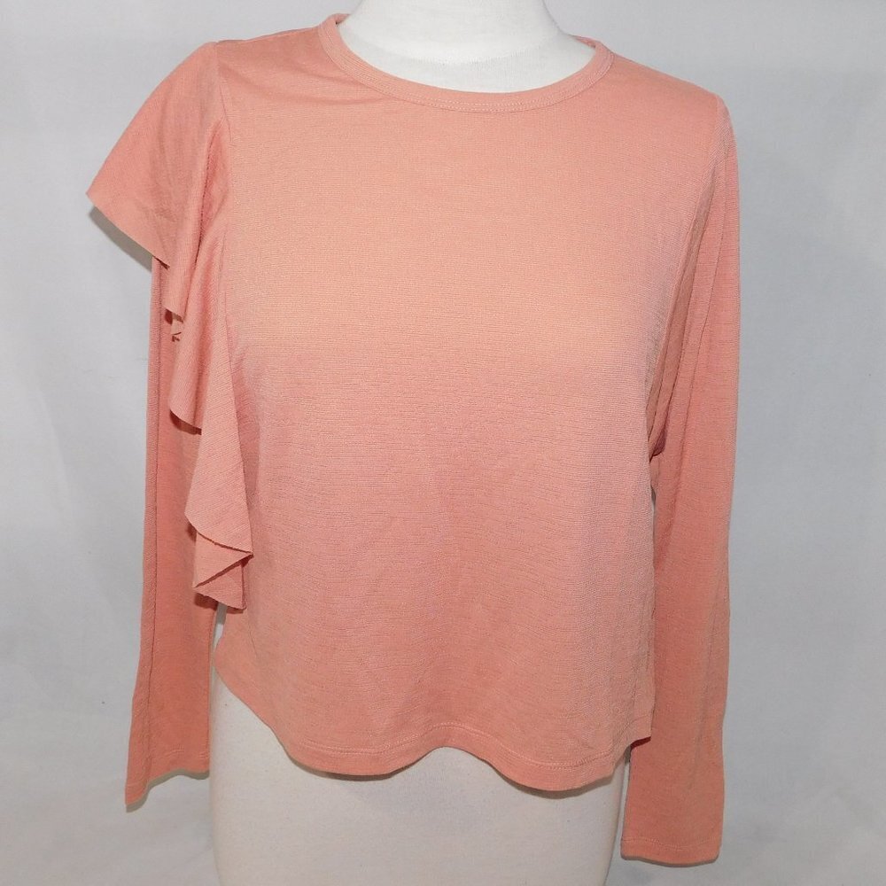 Zara BW Collection pink Blush Top with Arm Ruffle New with Tag Womens M